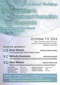 New Frontiers in Biomineral Formation Research