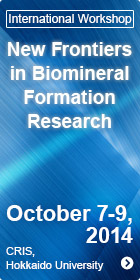 New Frontiers in Biomineral Formation Research