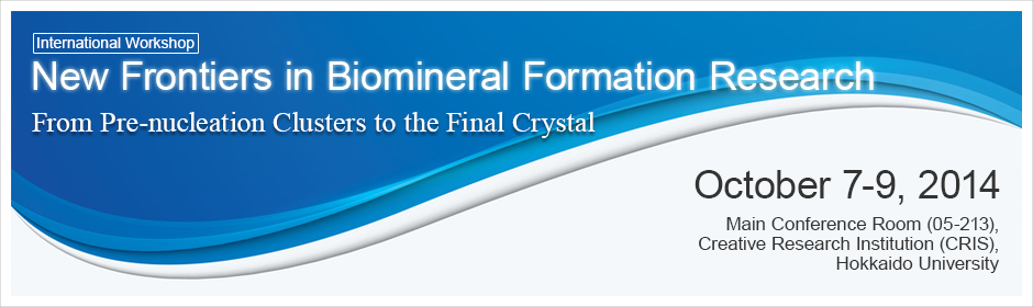 International Workshop, New Frontiers in Biomineral Formation Research, From Pre-nucleation Clusters to the Final Crystal